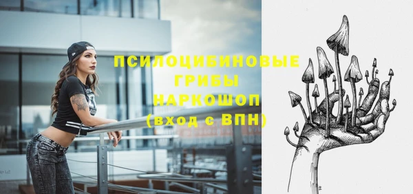 гидра Слюдянка