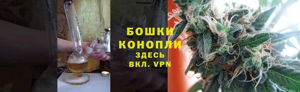 гидра Слюдянка