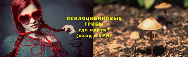 прущие крисы Щёлкино
