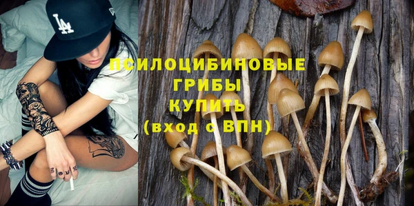 МДМА Снежинск
