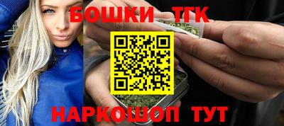 СК Бийск