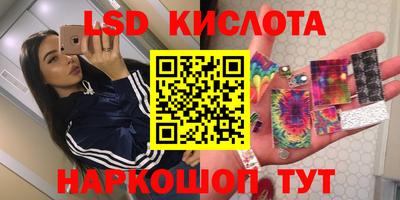 СК Бийск