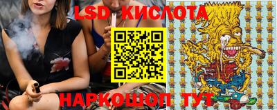 СК Бийск