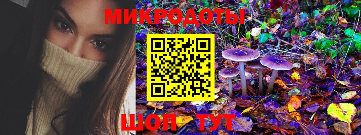 Псилоцибиновые грибы MAGIC MUSHROOMS Советский