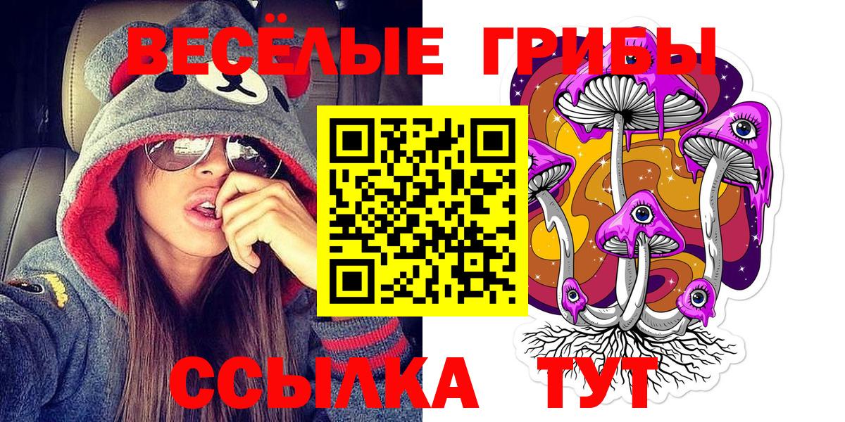 Галлюциногенные грибы Psilocybine cubensis Советский