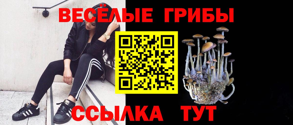 Псилоцибиновые грибы Psilocybe  Советский 